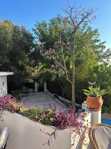 "A paradise in the middle of nature near the sea"