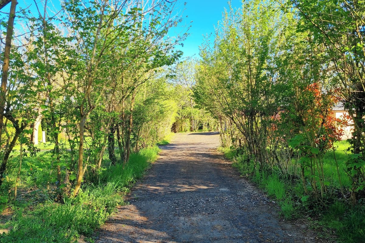 Un camino rural bordeado de árboles y vegetación, que lleva a un edificio distante.