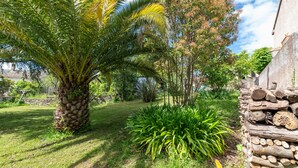 A garden with a palm tree, a variety of plants, and a stack of logs.