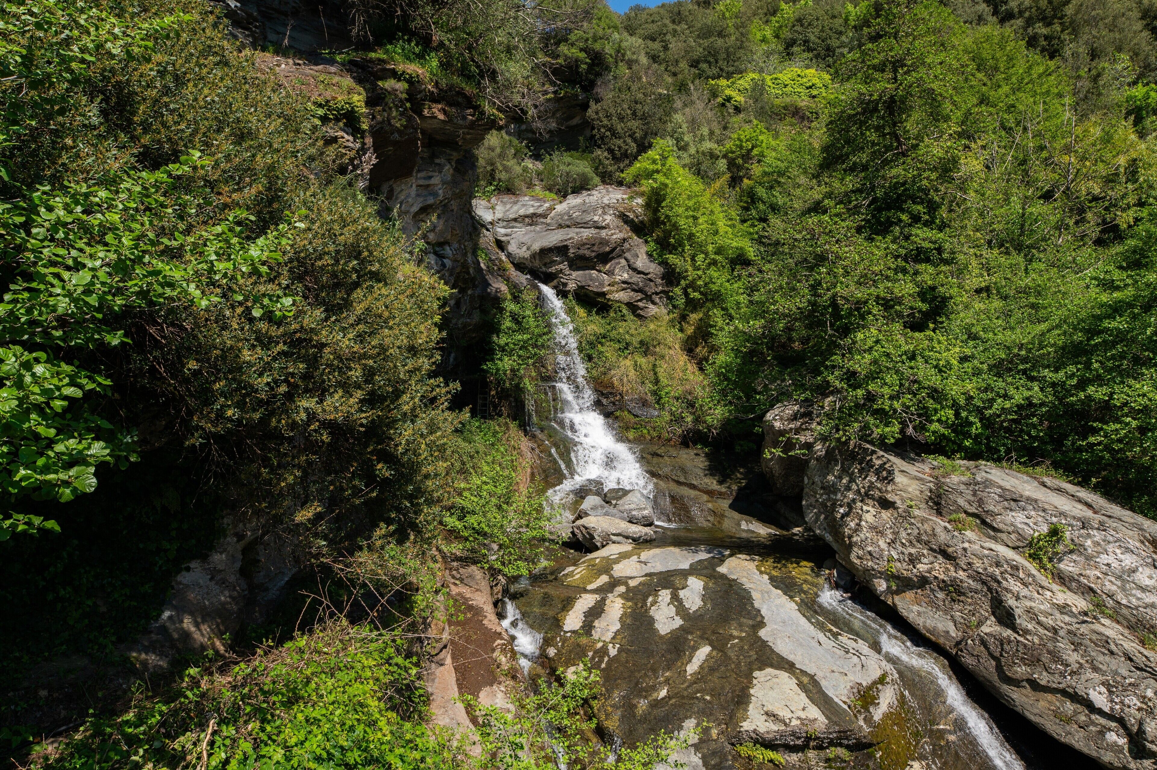 Une cascade entourée d’une végétation luxuriante et d’un paysage rocheux.