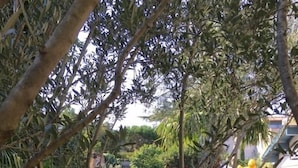 Rumah