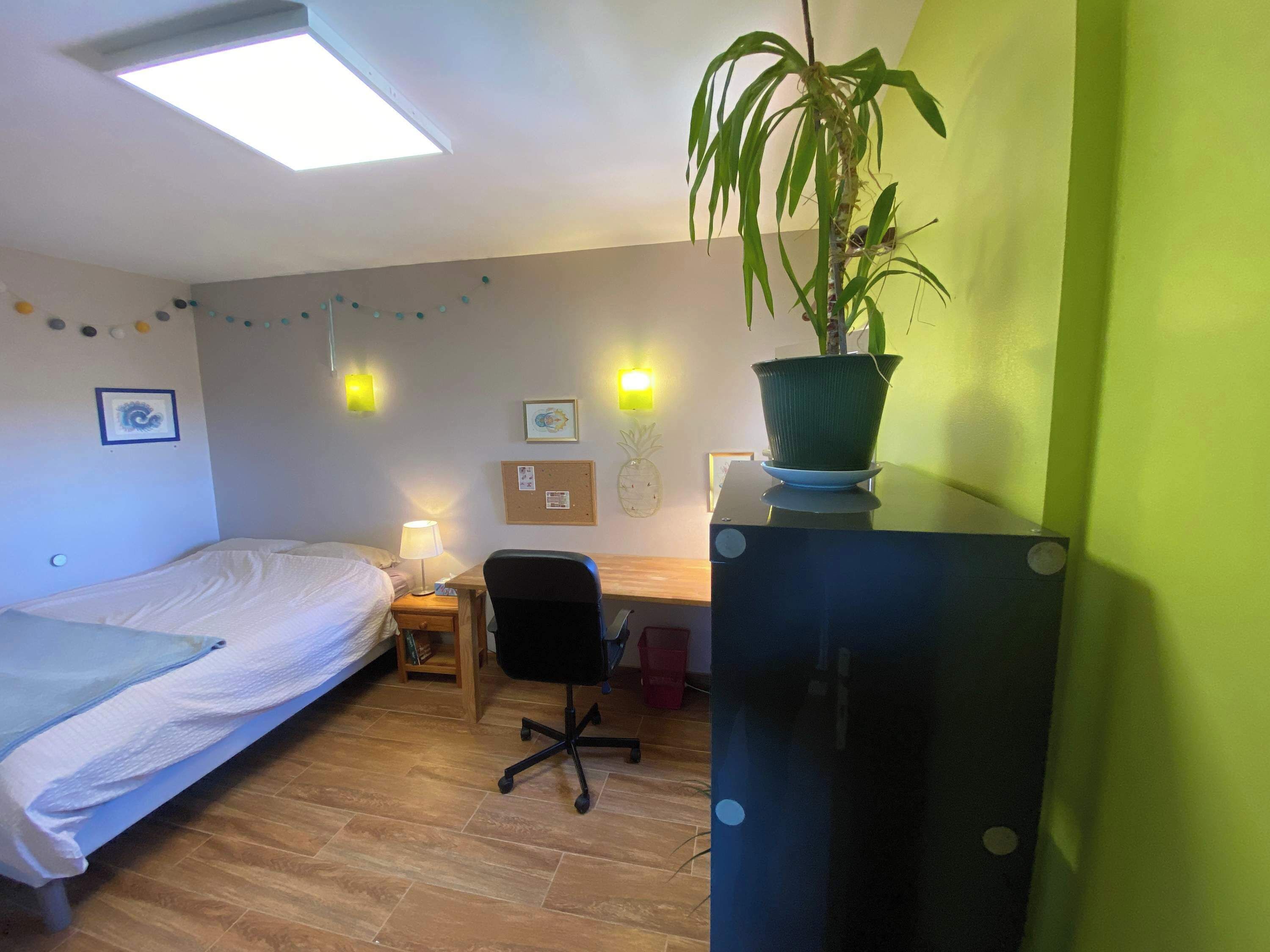 A bedroom with a bed, a desk, a chair, a potted plant, a corkboard, and wall-mounted lights.