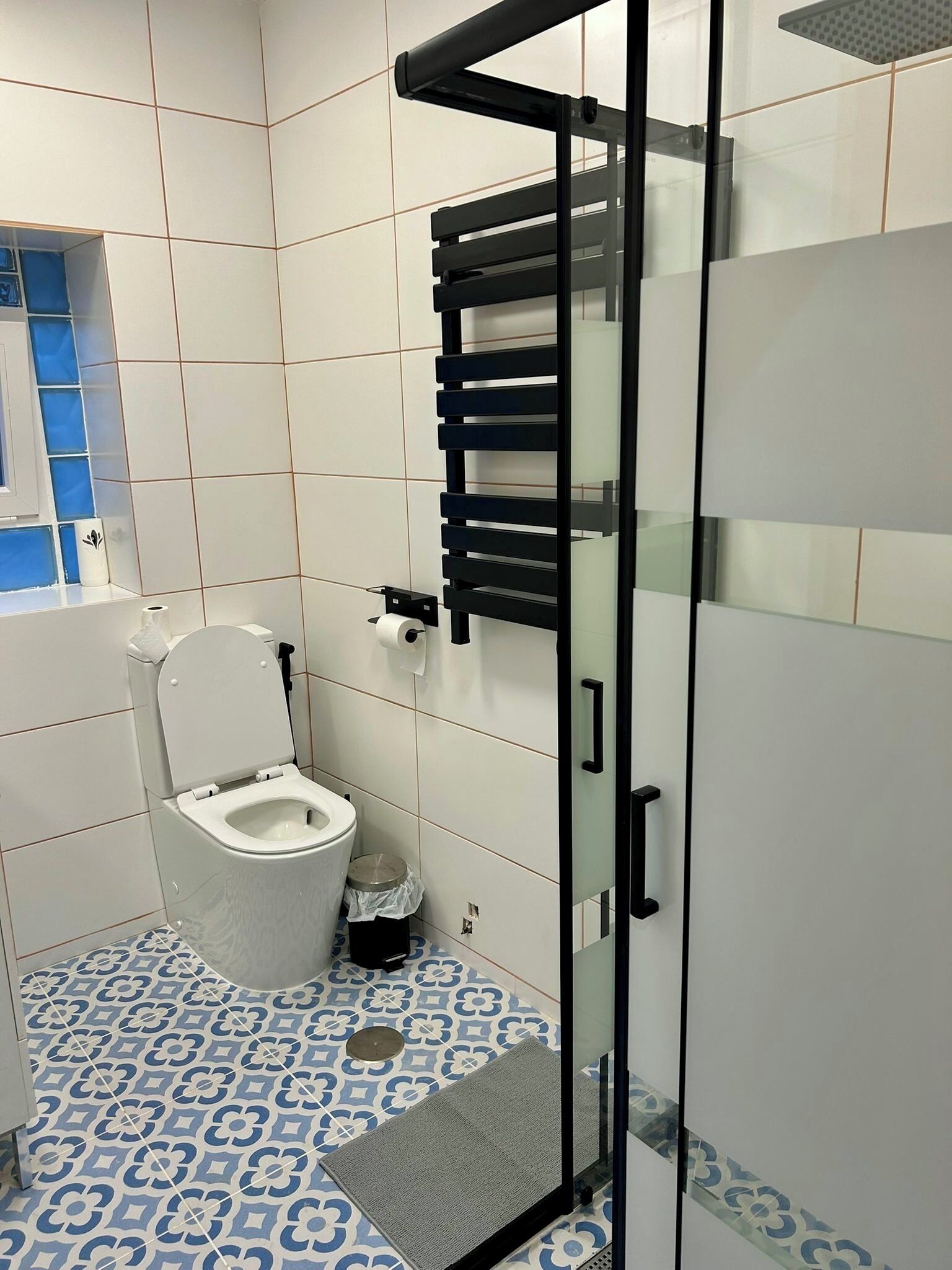 Shower, hair dryer, bidet, towels