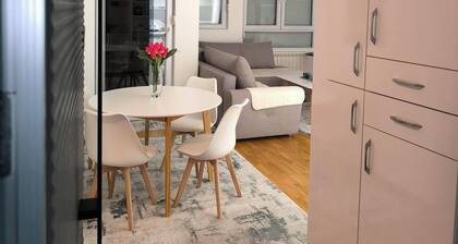 B&V Cozy Central Apartment/2 min walk BUS&TRAIN station/Free garage parking