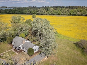 Ein Haus mit großem Garten, umgeben von Bäumen und einem Feld voller gelber Blumen.