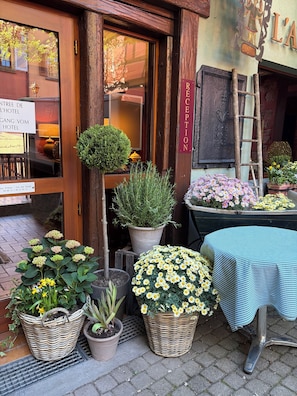 A hotel entrance with a reception desk, a sign indicating hotel services, and various potted plants outside. - Hôtel-restaurant l'Ange (Niedermorschwihr)