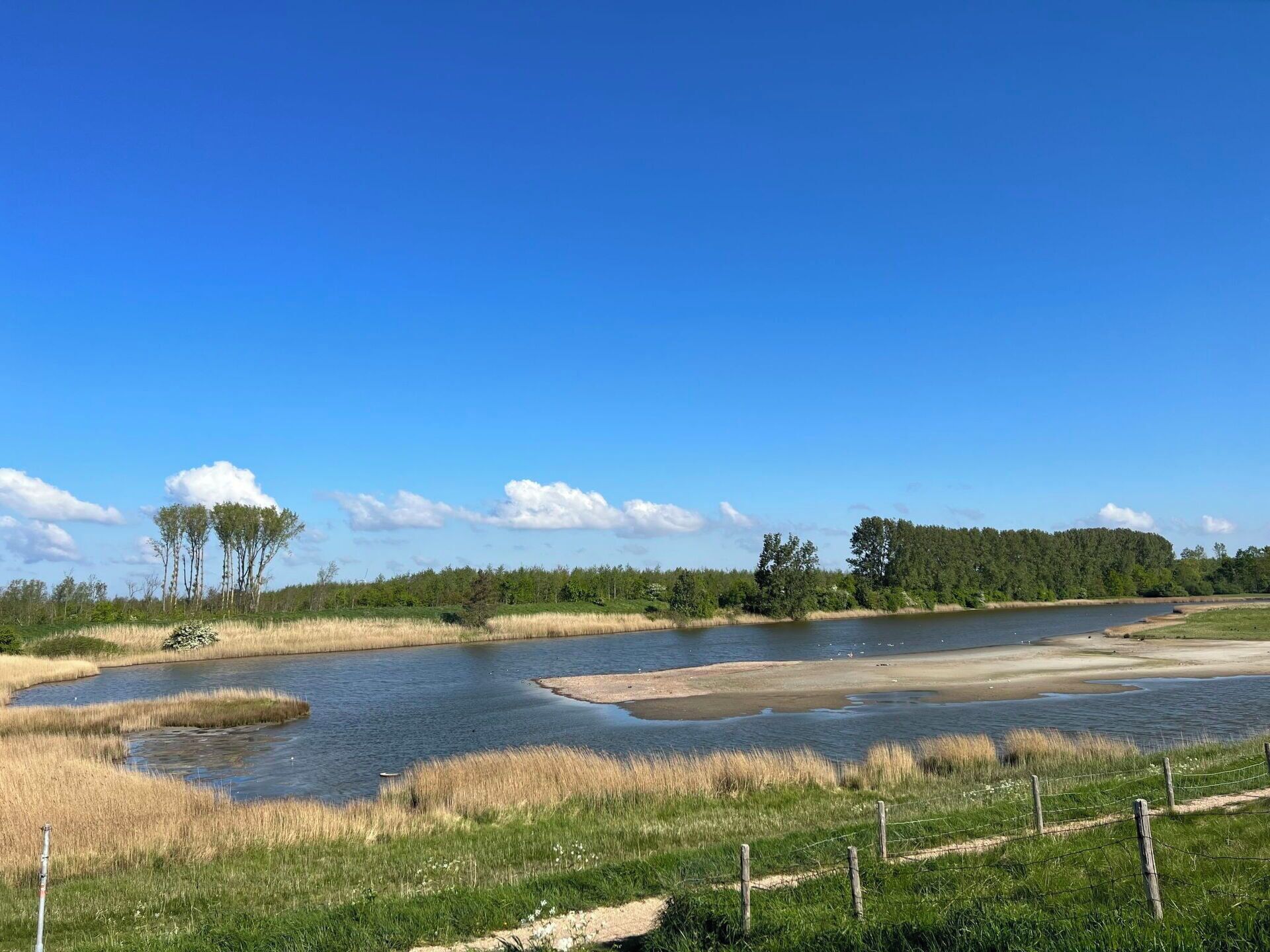 A river with grassy banks and trees in the background.