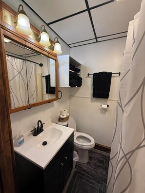Hair dryer, towels, soap, toilet paper - Classic Stone Manor with AC in welcoming Terra Alta, WV (Terra Alta)