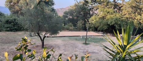 Property grounds