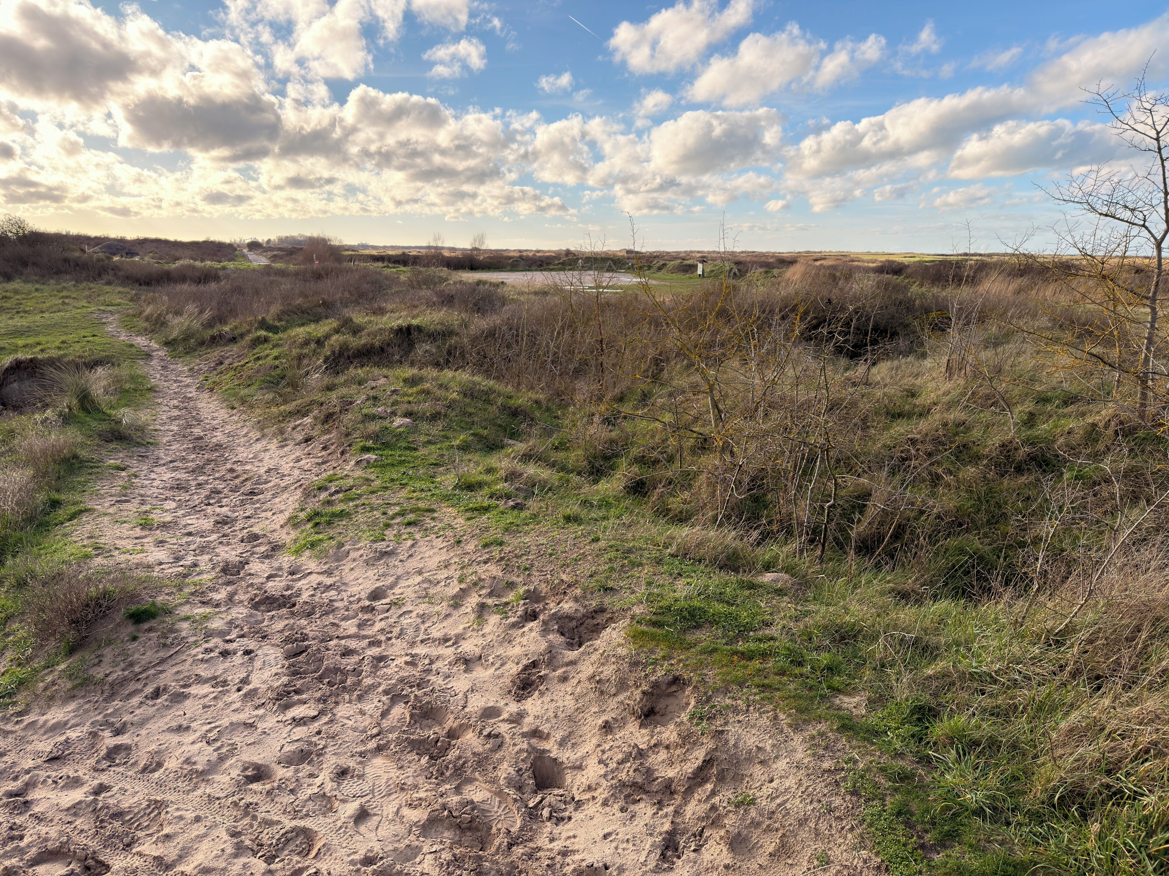Uma trilha de areia em uma paisagem natural com vegetação rasteira e céu limpo.