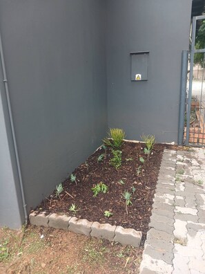 Zimmer, 1 Schlafzimmer, barrierefrei, Terrasse | Unterkunftsgelände