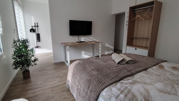 A bedroom with a bed, a TV, a wardrobe, a plant, and a window. - NAUSICA (Saint-Jean-de-Monts)