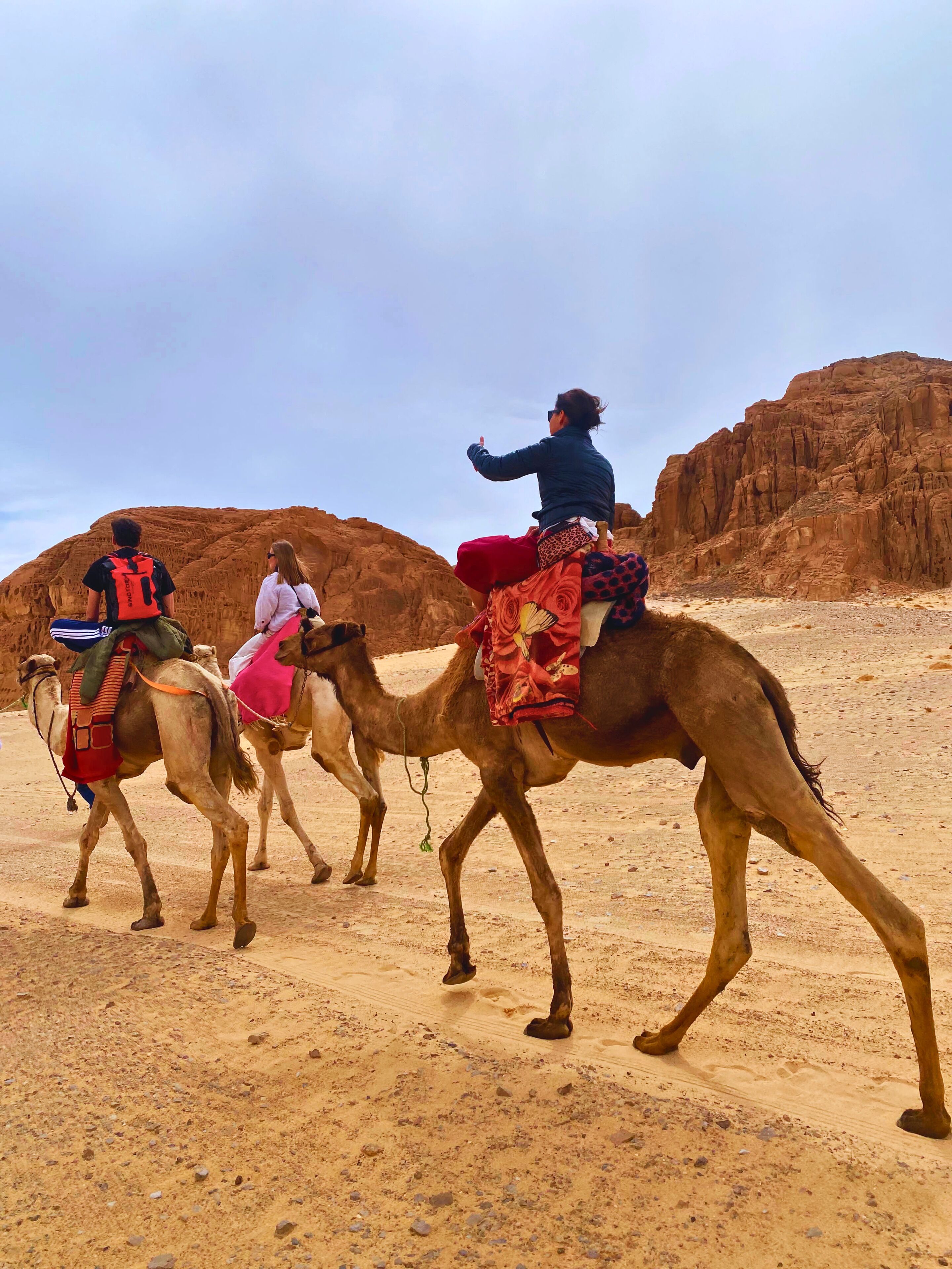 Tres camellos con jinetes en un paisaje desértico.