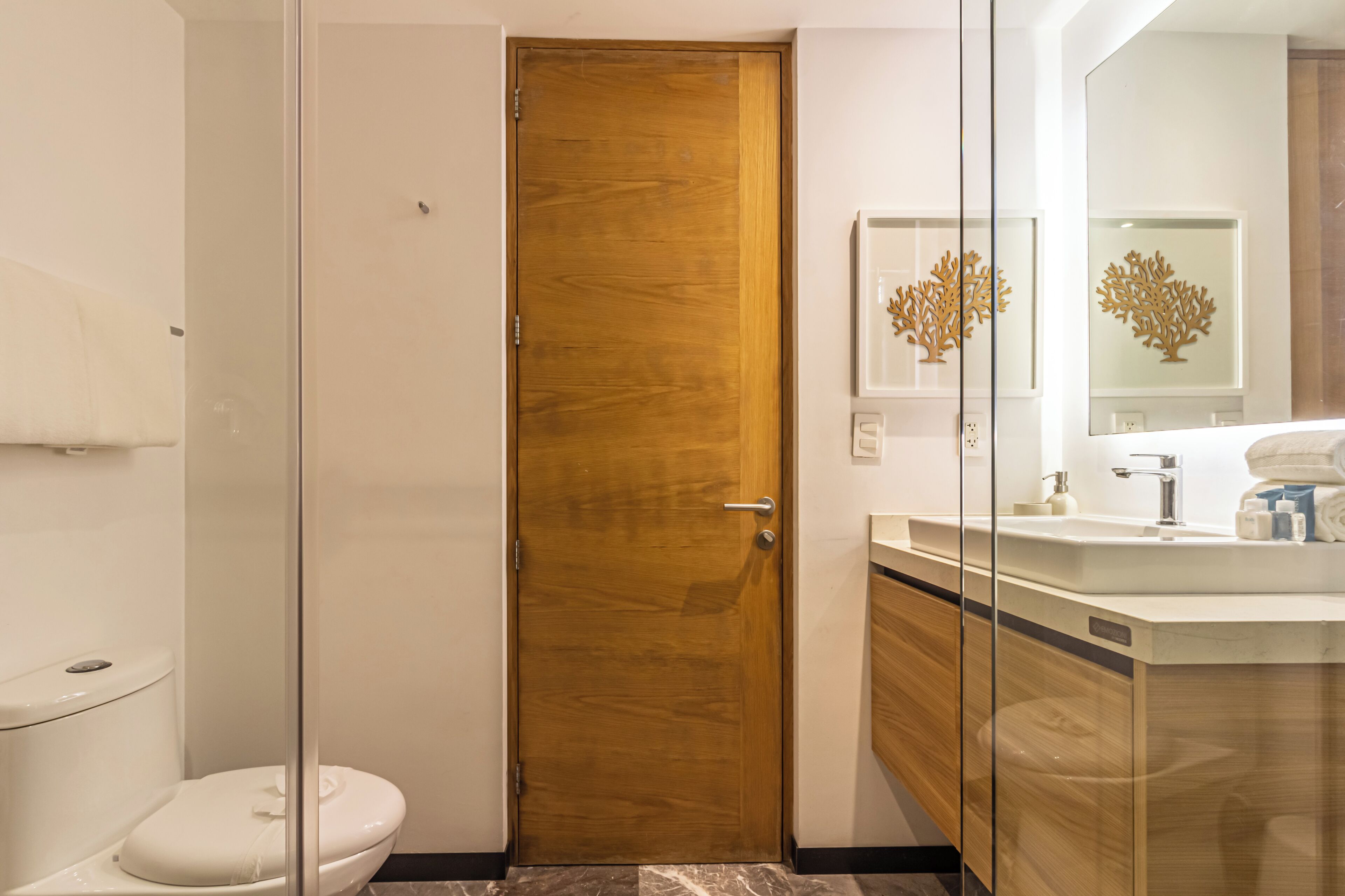 Baño con puerta de madera, inodoro, cabina de ducha de vidrio, lavamanos con espejo y un adorno en la pared.