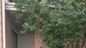 A building with a brick exterior, a covered porch with a red metal chair and table, and a tree in front.