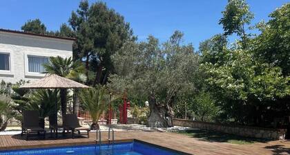 Authentic Stone Villa with Pool & Nature View