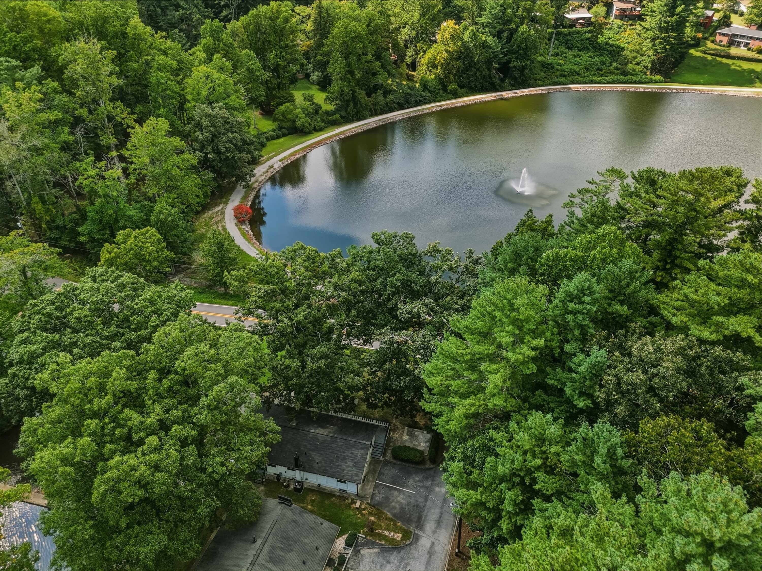 Ein weiter Blick von oben auf einen Park mit Teich, Brunnen und umgebender Bepflanzung.