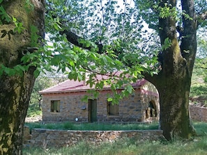 Udendørsområde