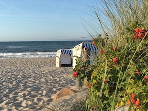 Ein Strand mit zwei gestreiften Liegestühlen und einem felsigen Vordergrund.