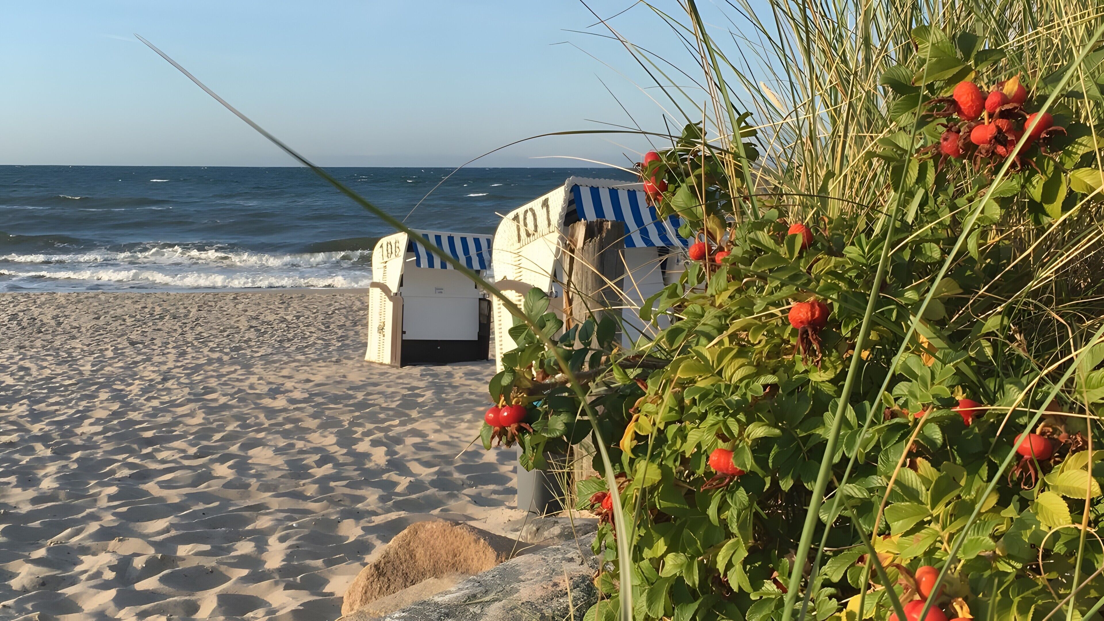 In Strandnähe