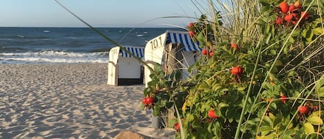 Nära stranden