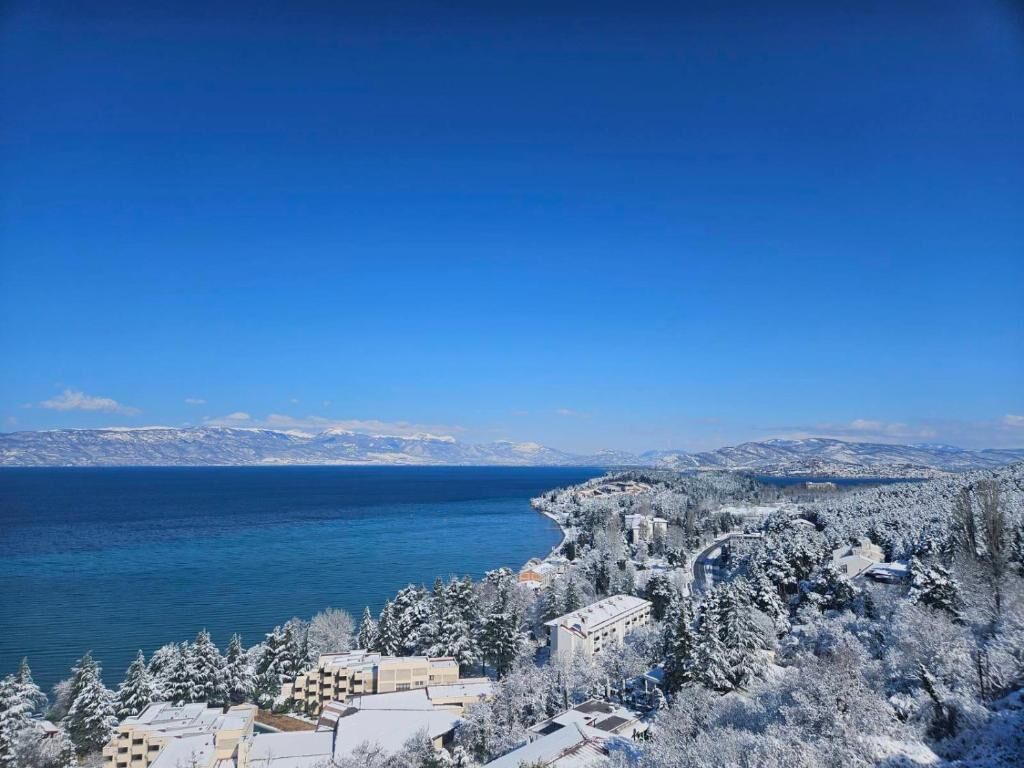 Zona costera con edificios, árboles cubiertos de nieve y un cielo azul despejado.