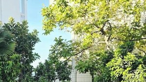 Een patio met een stenen vloer, omgeven door groen en een gebouw met een witte gevel.