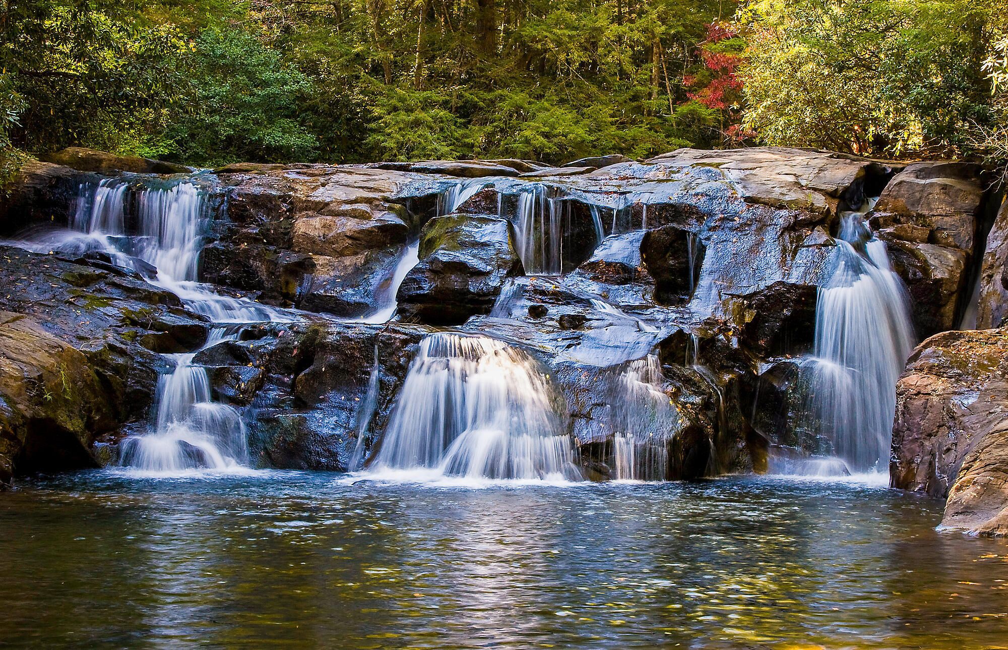 Una cascada fluye sobre rocas hacia un estanque, rodeada de un bosque denso.