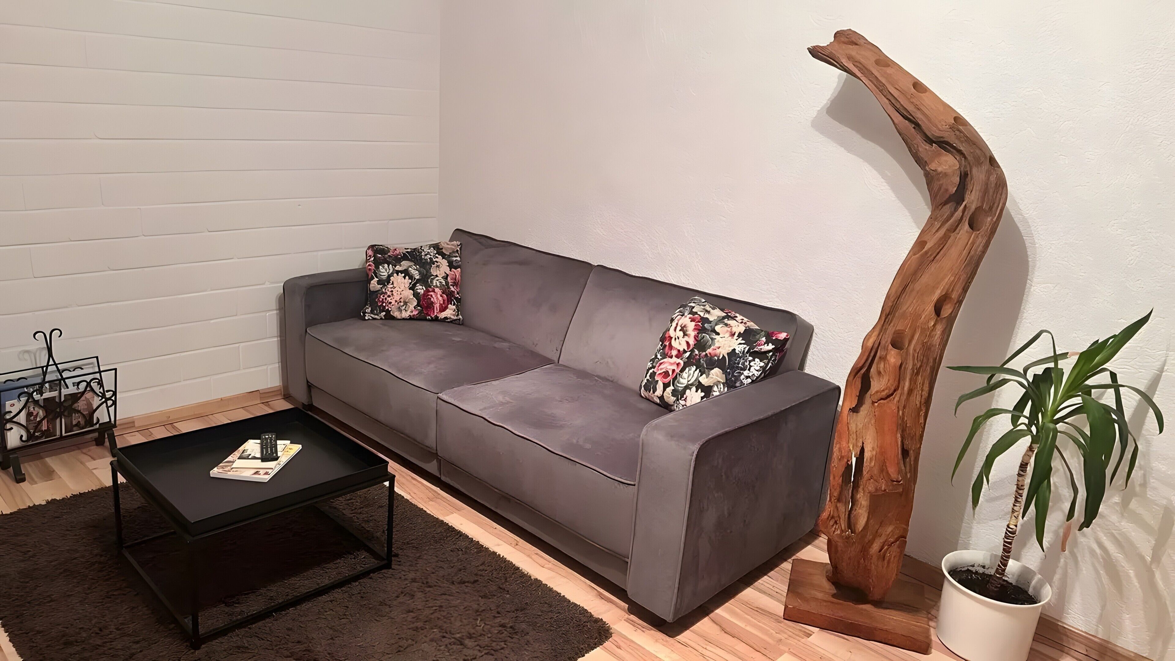 Fernseher