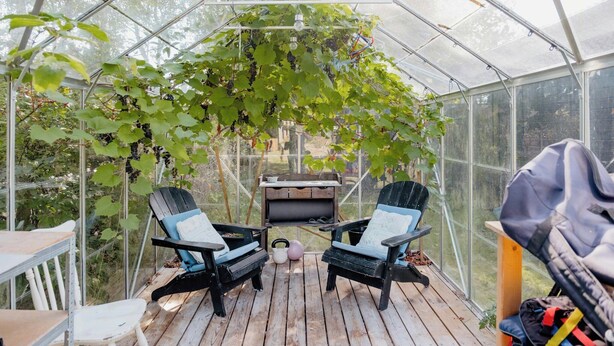 Ett växthus med en träveranda, två stolar, en grill och hängande klätterväxter.