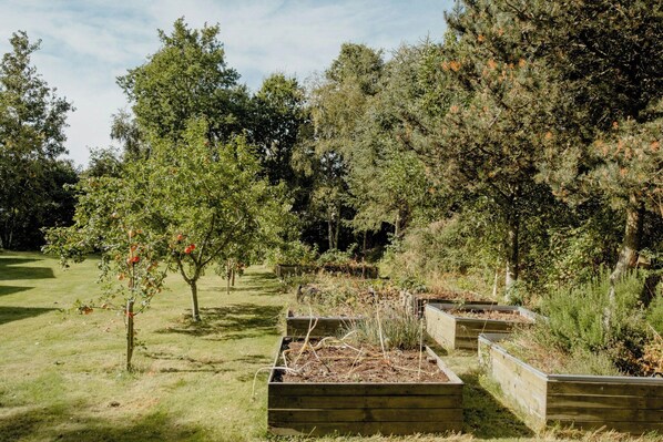 A garden with raised beds, trees, and a grassy area. - Blue home with room for fun and comfort (Storvorde)