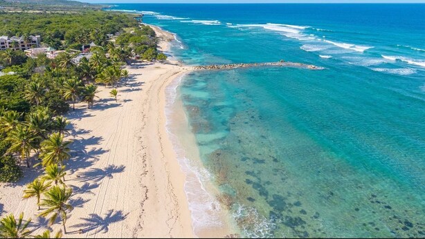 A beach with clear turquoise water, a sandy shore, and palm trees.