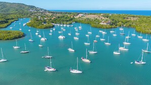A marina with numerous sailboats docked.