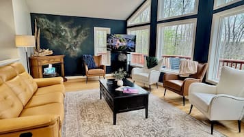 Smart TV, fireplace, video games