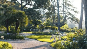 Un vialetto in giardino, con alberi e fiori.
