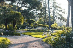 A garden pathway with trees and flowers. - Flat with pool in the Tuscan Maremma (Massa Marittima)