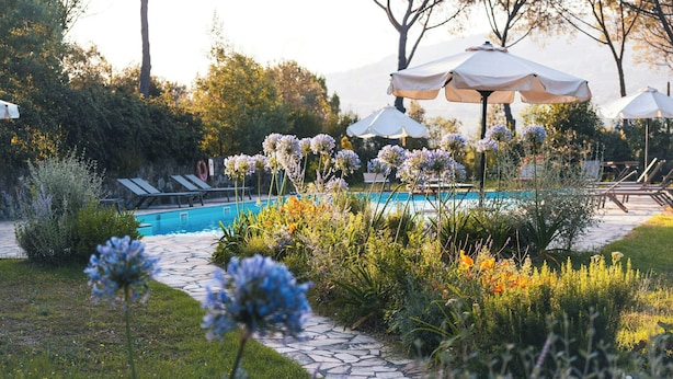 Area piscina con lettini, ombrelloni e vialetto che conduce alla vasca.