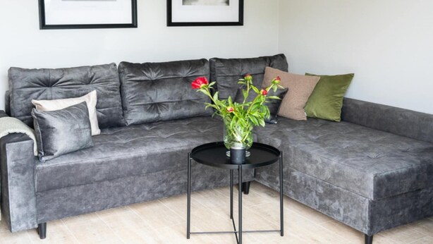 A grey sofa with multiple cushions, a small black side table with a potted plant, and two framed pictures on the wall.