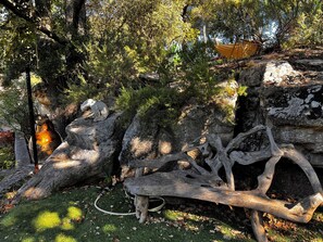Eine natürliche Außenlandschaft mit Felsen, einem Baum und einem Gartenschlauch.