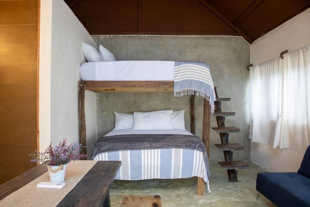 Un lit superposé avec une structure en bois, une table de chevet avec une plante et une chaise.