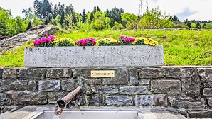 A stone well with a sign reading 'Trinkwasser' and a flower bed with pink flowers.