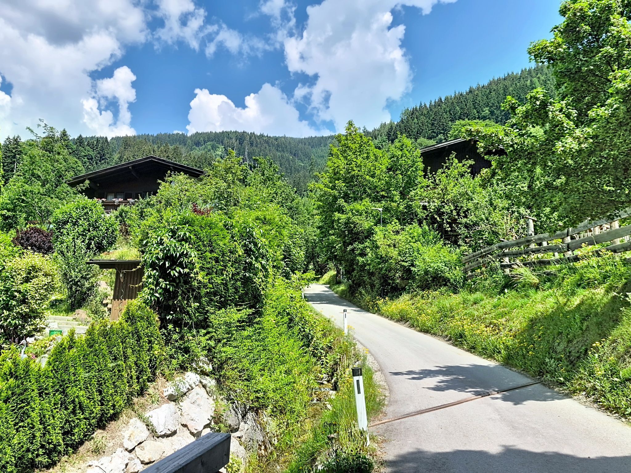 Una strada di campagna circondata da rigogliosa vegetazione e case in legno tradizionali.