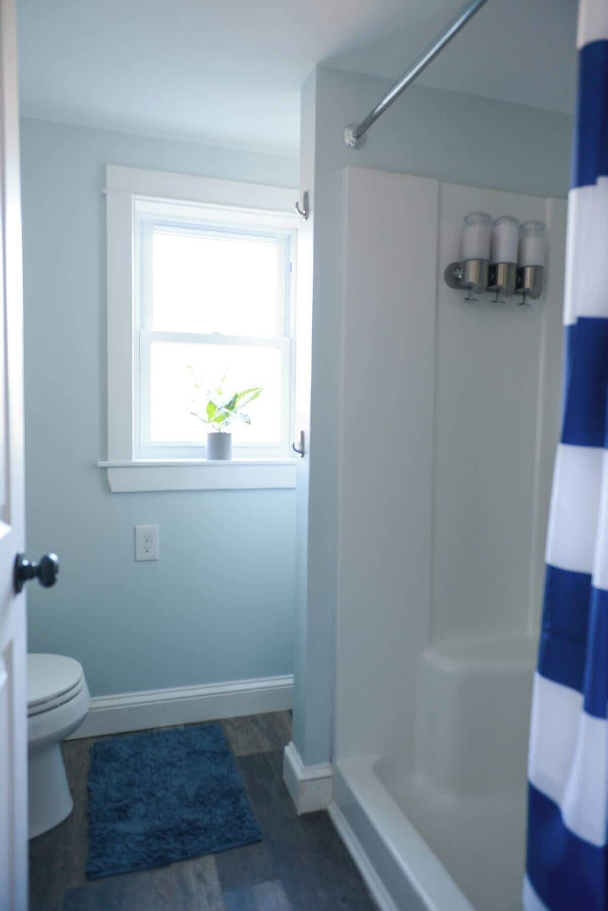 Une salle de bain avec des toilettes, une fenêtre avec une plante, une douche et un tapis bleu.