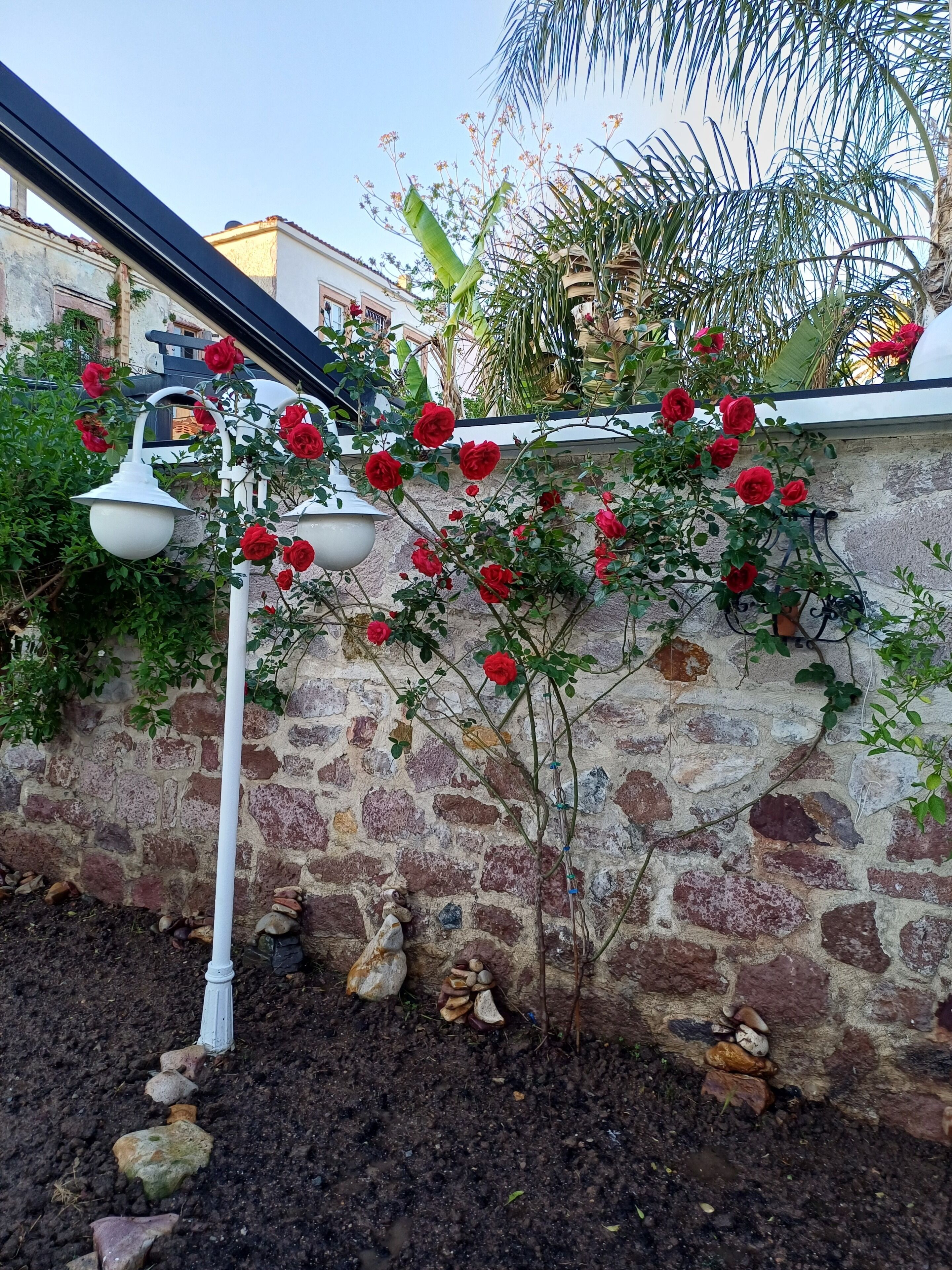 A stone wall with climbing roses and a white lamp post.