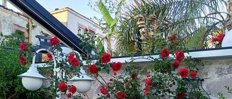 A stone wall with climbing roses and a white lamp post.
