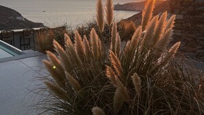 En vacker utsikt över solnedgången med en pool, en stenmur och prydnadsgräs.