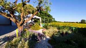 Un sentier bordé d’arbres mène à un espace extérieur abrité, aménagé avec une table et des chaises.