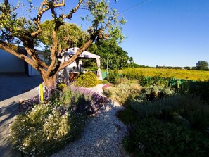 A tree-lined pathway leading to a building with a covered outdoor area, surrounded by a variety of plants and a field in the background.