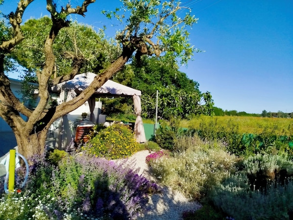 Une maison de campagne avec un jardin, un arbre et, au loin, un champ.
