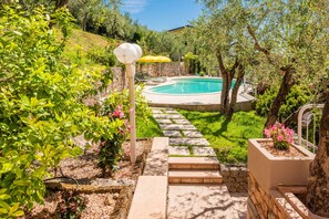 A swimming pool surrounded by a garden with a stone pathway leading to it.